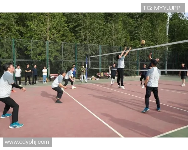 武汉排球队荣登排球耐力排行榜第一名展现卓越实力与拼搏精神