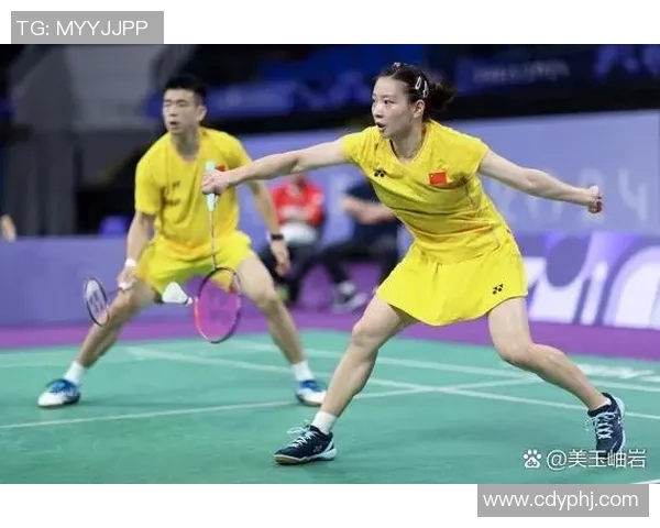 杭州羽毛球队在奥运会上的技术表现分析与点评