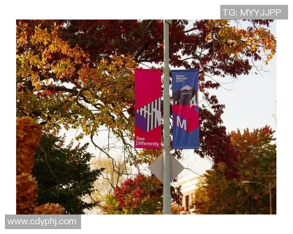 武汉羽毛球队的反击革新之路:重塑辉煌与未来展望 武汉羽毛球队的反击革新之路:重塑辉煌与未来展望