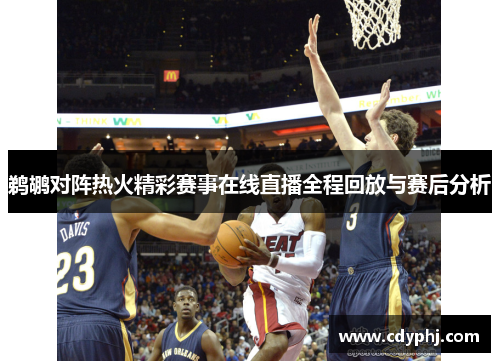鹈鹕对阵热火精彩赛事在线直播全程回放与赛后分析