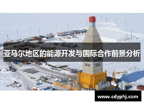 亚马尔地区的能源开发与国际合作前景分析